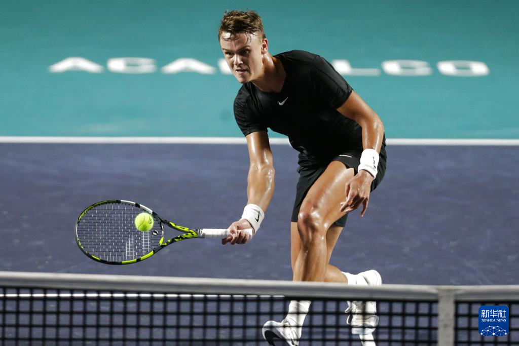 两队在海湾 两队在海湾